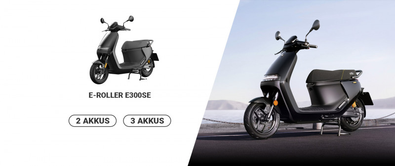 Segway-Ninebot E300SE