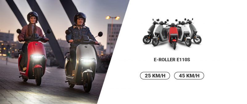 Segway-Ninebot E-Roller E110S