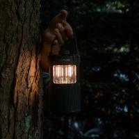 Pure Woodland Glow Outdoor Lautsprecher