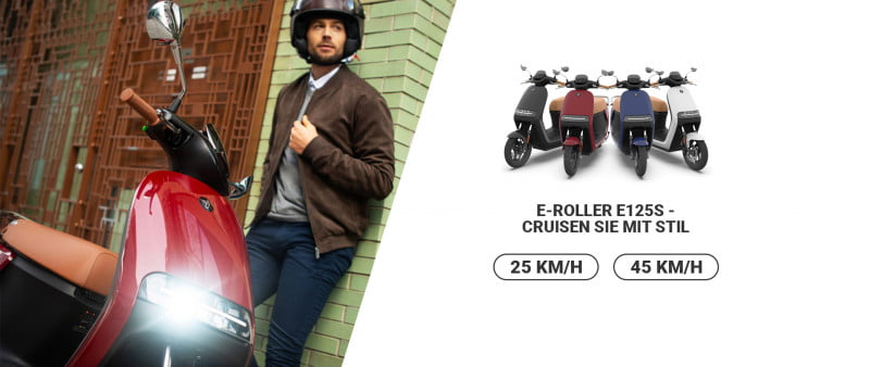 Segway Ninebot E125S